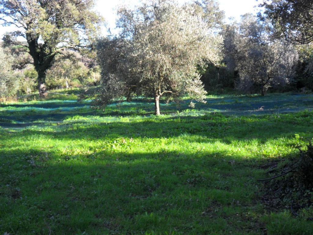 Gite U Licetu A La Campagne Oreta Luaran gambar