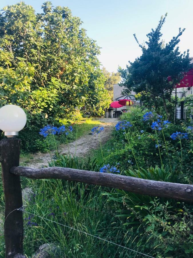 Gite U Licetu A La Campagne Oreta Luaran gambar